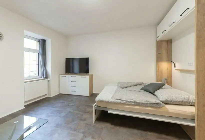 آپارتمان لوکس 1 خوابه, Apartsee Wellness Plzeň