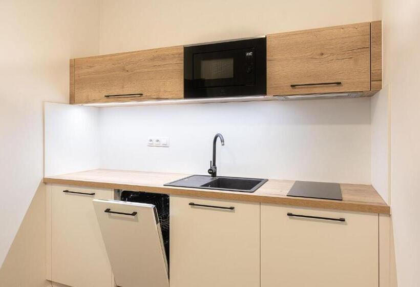 1ベッドルームのデラックスアパートメント, Apartsee Wellness Plzeň