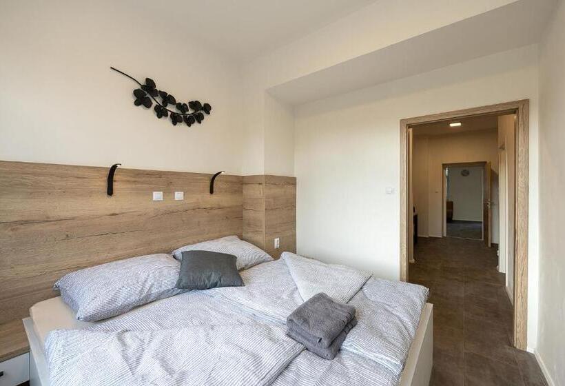 1ベッドルームのデラックスアパートメント, Apartsee Wellness Plzeň