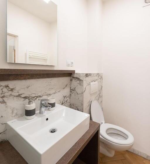 1ベッドルームのスーペリアアパートメント, Apartsee Wellness Plzeň