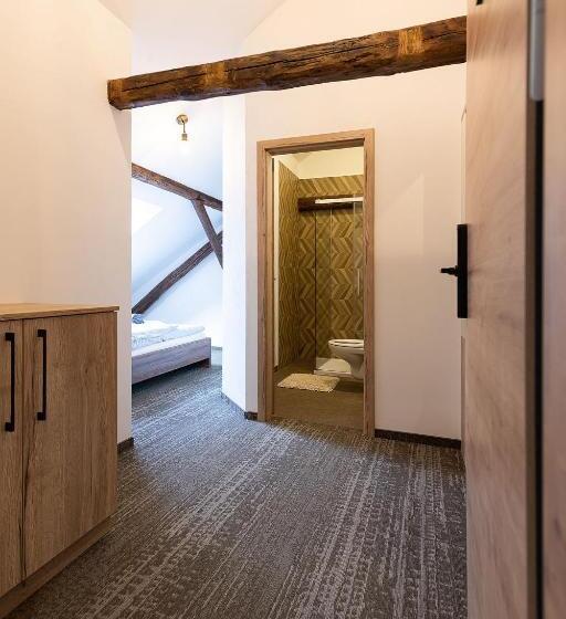 エコノミールーム, Apartsee Wellness Plzeň