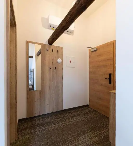 اتاق اکونومی, Apartsee Wellness Plzeň