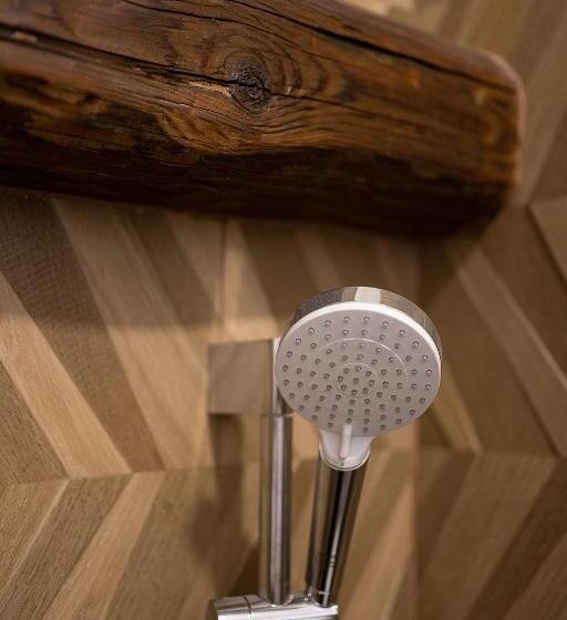 エコノミールーム, Apartsee Wellness Plzeň