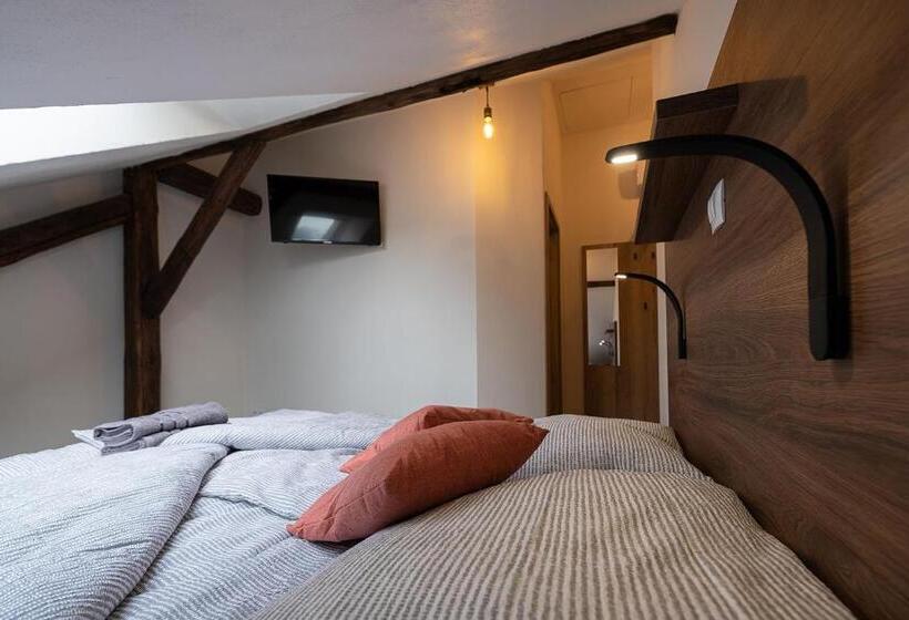 エコノミールーム, Apartsee Wellness Plzeň