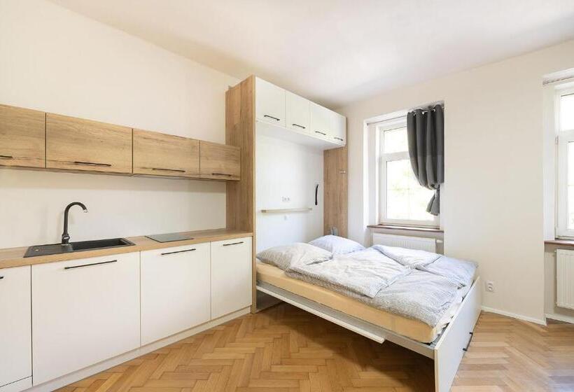 1ベッドルームのスーペリアアパートメント, Apartsee Wellness Plzeň
