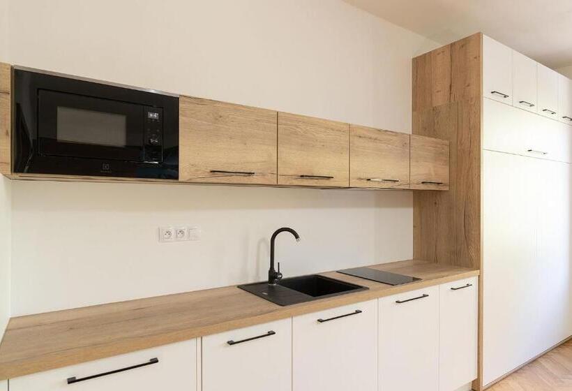 带1个卧室的高级公寓, Apartsee Wellness Plzeň