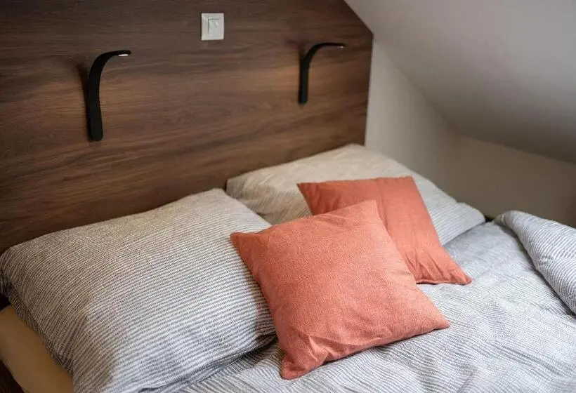 اتاق اکونومی, Apartsee Wellness Plzeň