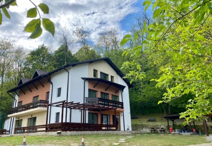 빌라 침실 1개, Pensiunea Lui Calin