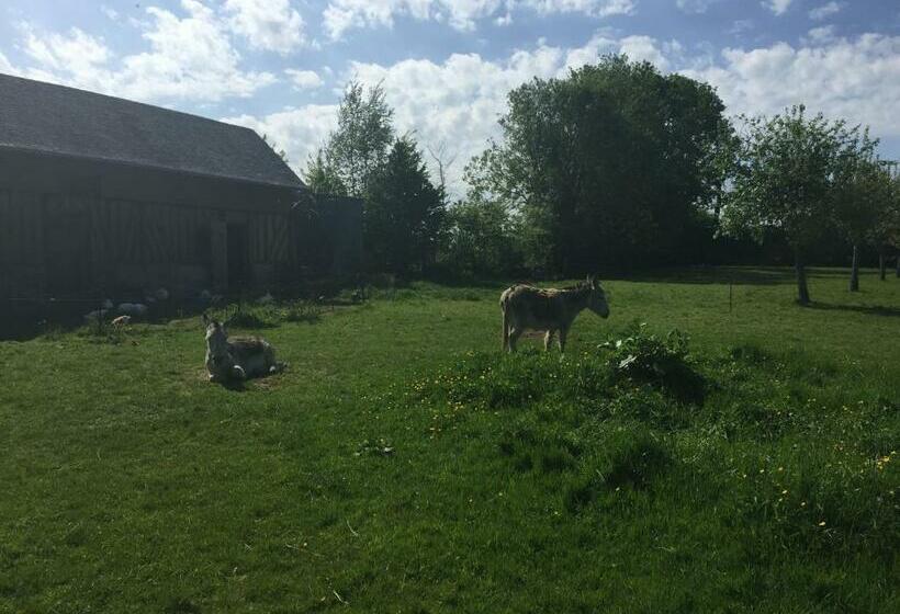 غرفة قياسية, Chambre Chez Corinne