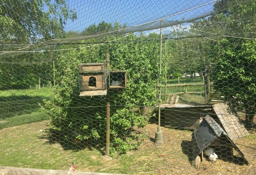 غرفة قياسية, Chambre Chez Corinne
