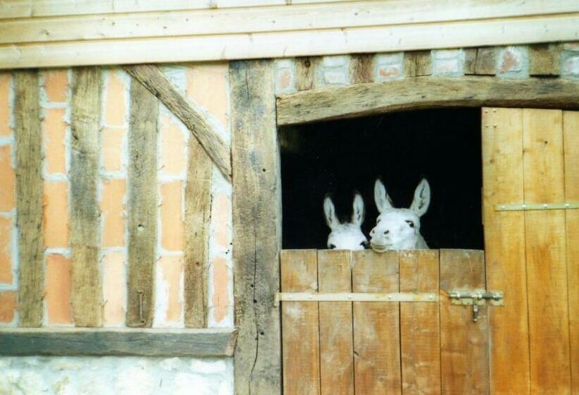 غرفة قياسية, Chambre Chez Corinne