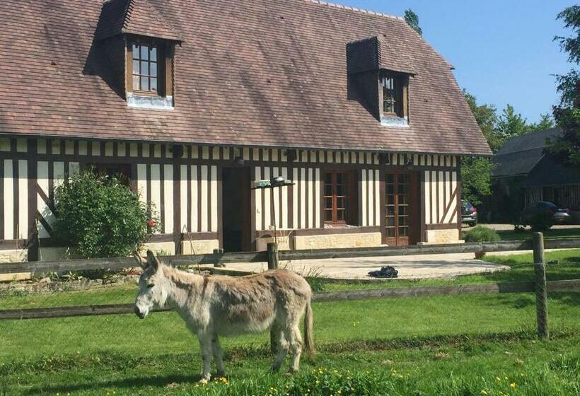 غرفة قياسية, Chambre Chez Corinne