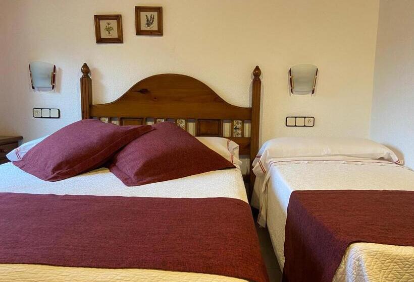 غرفة قياسية, El Serrat De Tregura