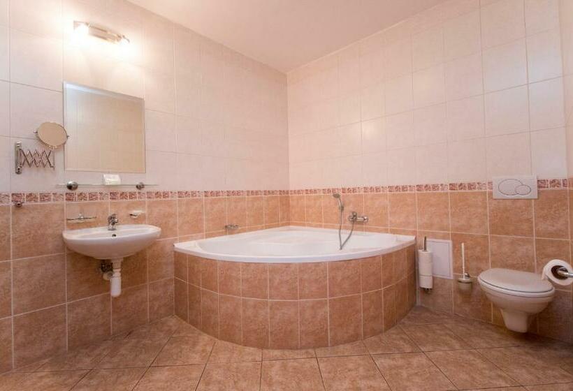 컴포트 룸, české žleby