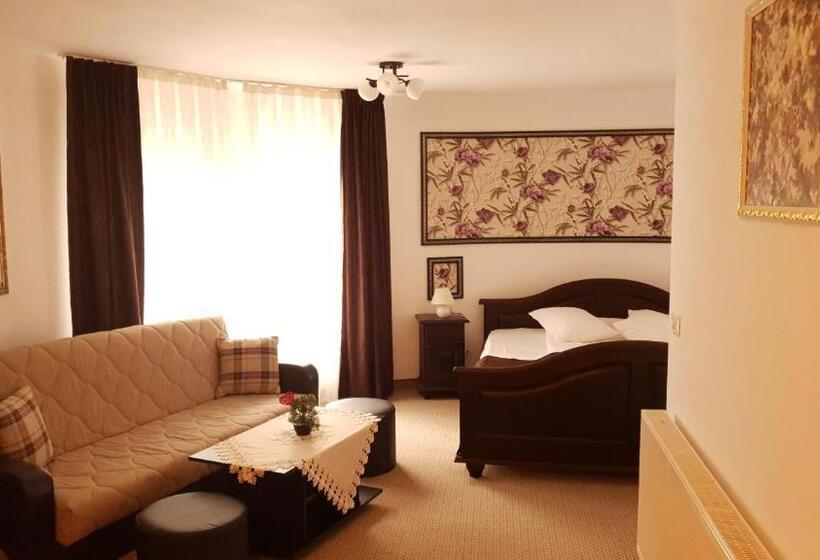 غرفة قياسية, Popasul Regelui Transalpina