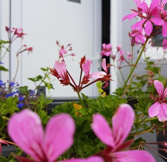 ベーシックルーム, Szilas Park Motel