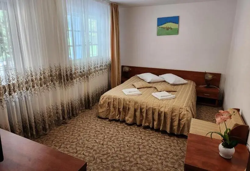 テラス付き1ベッドルームアパートメント, Casa Minerva