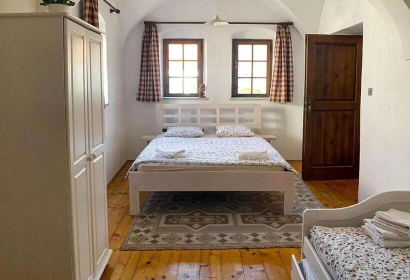 شقة غرفة واحدة, Habánský Dům