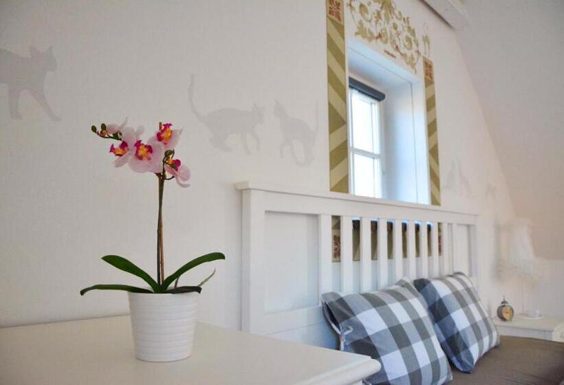 شقة غرفتين, Habánský Dům