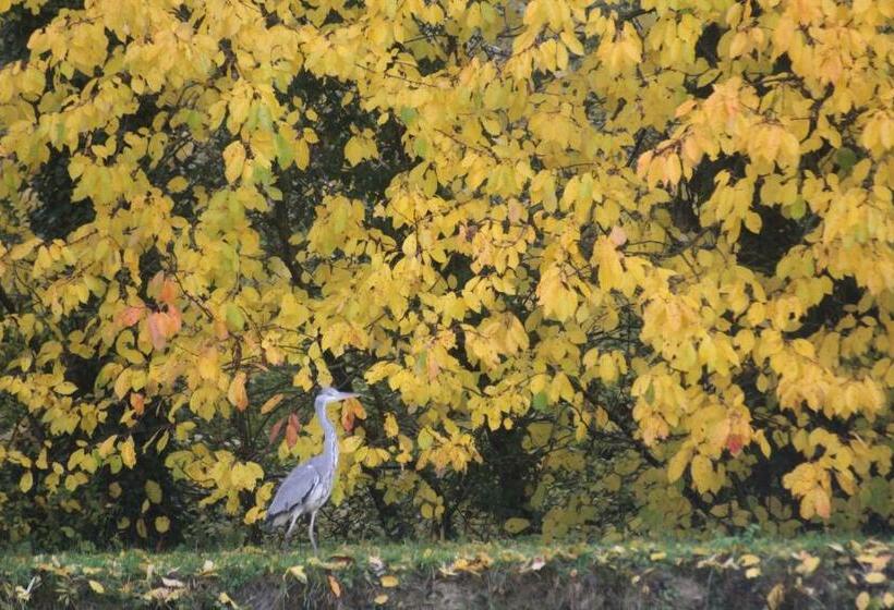 Номер Стандарт Вид на Сад, La Chaumière Du Tordoir