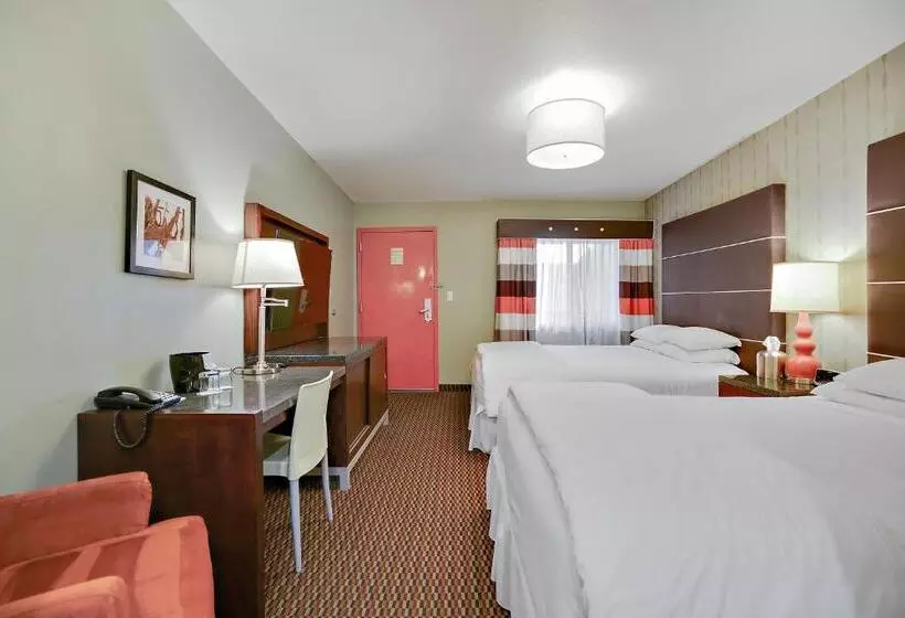 デラックスルーム, Scottsdale Parkview