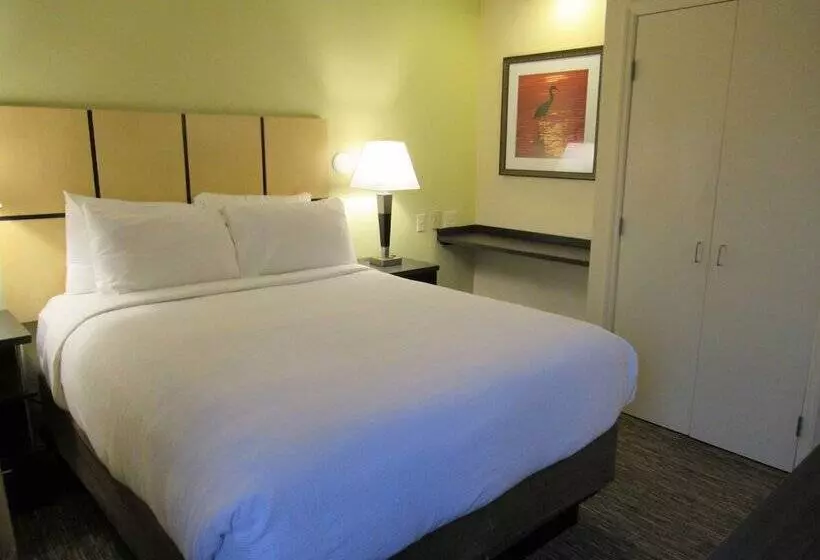 スイート, Candlewood Suites Lake Mary, An Ihg
