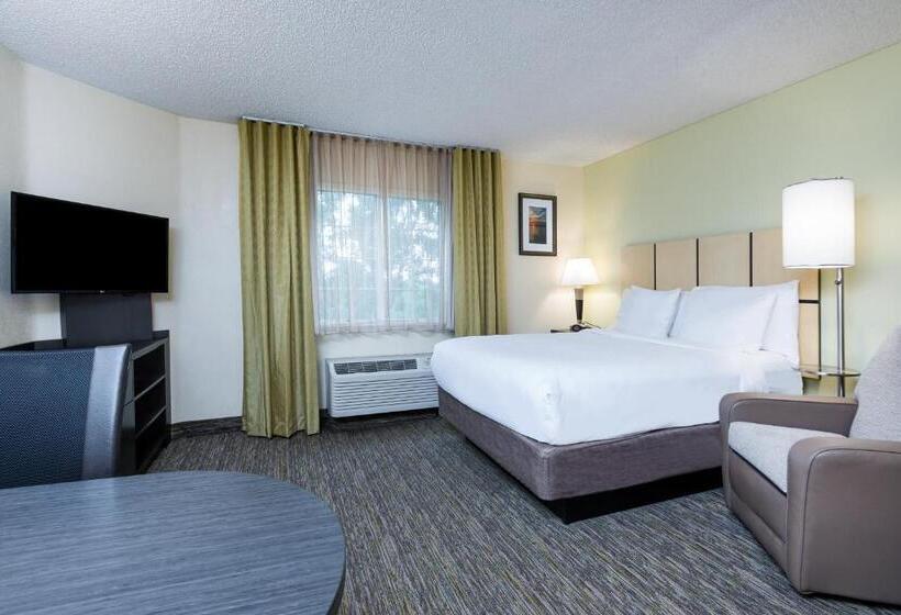 غرفة قياسية, Candlewood Suites Lake Mary, An Ihg