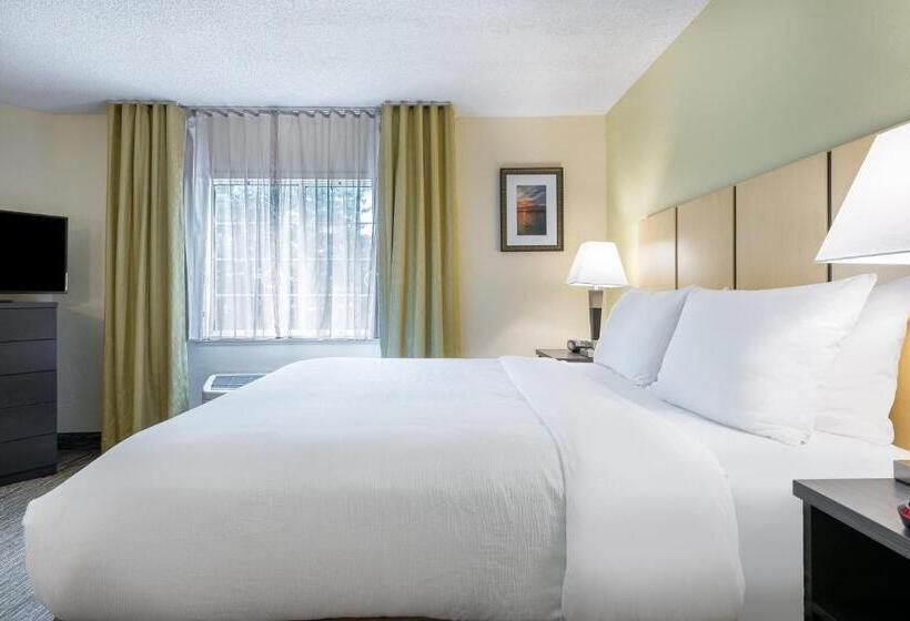 إستوديو قياسى, Candlewood Suites Lake Mary, An Ihg