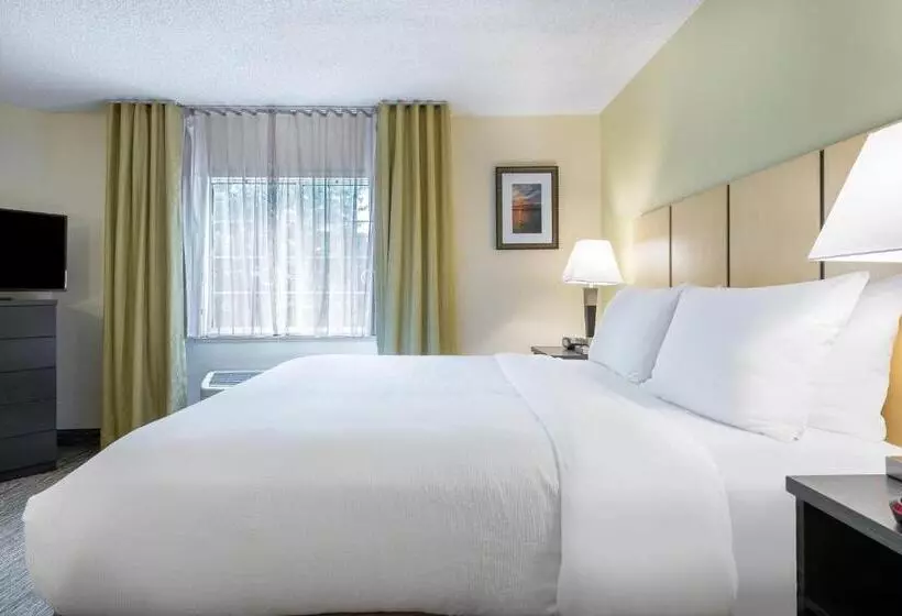 スタンダードスタジオ, Candlewood Suites Lake Mary, An Ihg