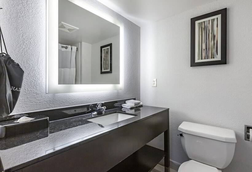 חדר סטנדרט שתי מיטות זוגיות, Comfort Inn & Suites Grand Blanc Flint