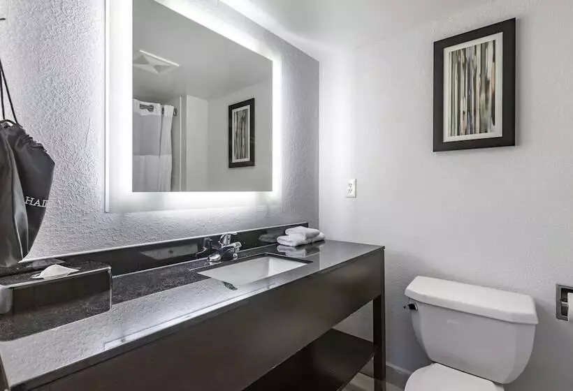2ダブルベッドのスタンダードルーム, Comfort Inn & Suites Grand Blanc Flint