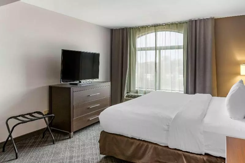 キングサイズベッドのスタンダードルーム, Comfort Inn & Suites Grand Blanc Flint