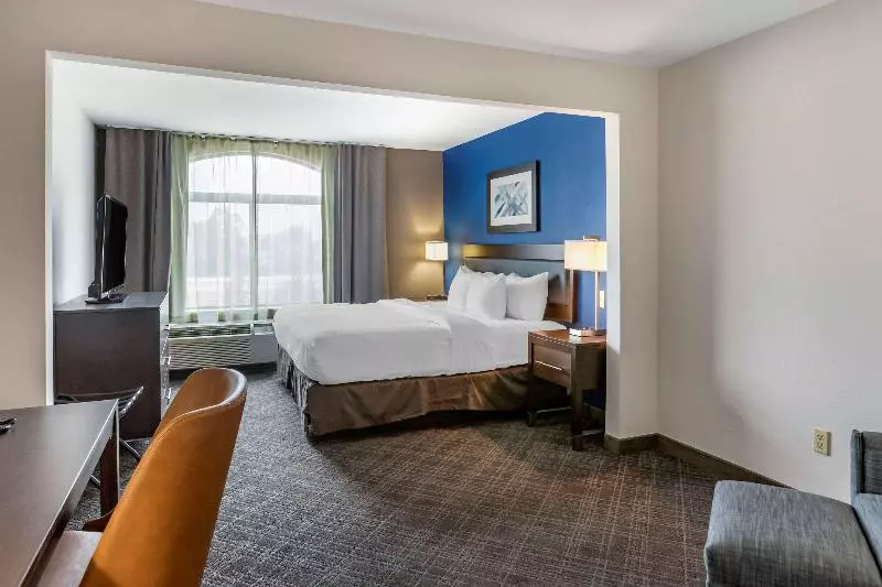 キングサイズベッドのスタンダードルーム, Comfort Inn & Suites Grand Blanc Flint