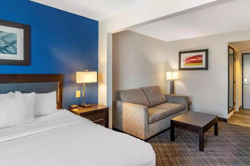 キングサイズベッドのスタンダードルーム, Comfort Inn & Suites Grand Blanc Flint