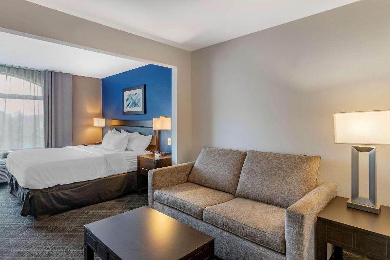 اتاق استاندارد با تخت بزرگ, Comfort Inn & Suites Grand Blanc Flint