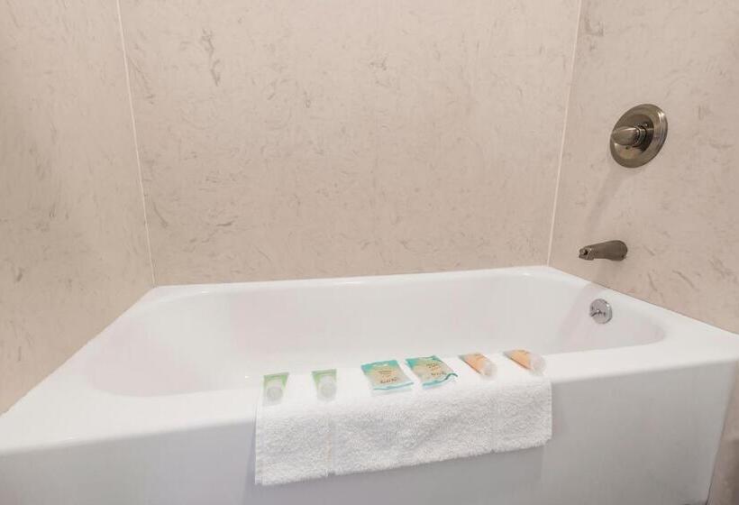 غرفة قياسية سرير كينج, Heritage Inn Express Chico