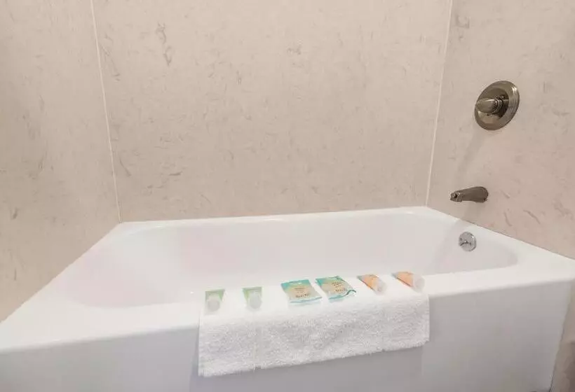 اتاق استاندارد با تخت بزرگ, Heritage Inn Express Chico