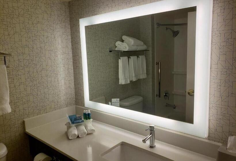 غرفة قياسية سرير كينج, Holiday Inn Express Portland West/hillsboro, An Ihg
