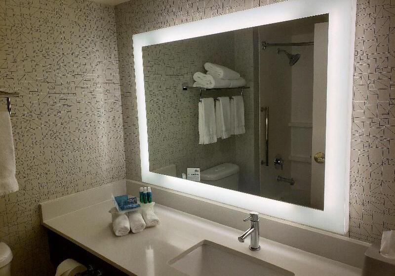 Номер Стандарт Кровать Кинг Адаптированный для Инвалидов, Holiday Inn Express Portland West/hillsboro, An Ihg