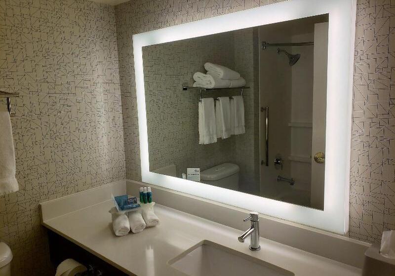 غرفة قياسية سرير كينج, Holiday Inn Express Portland West/hillsboro, An Ihg