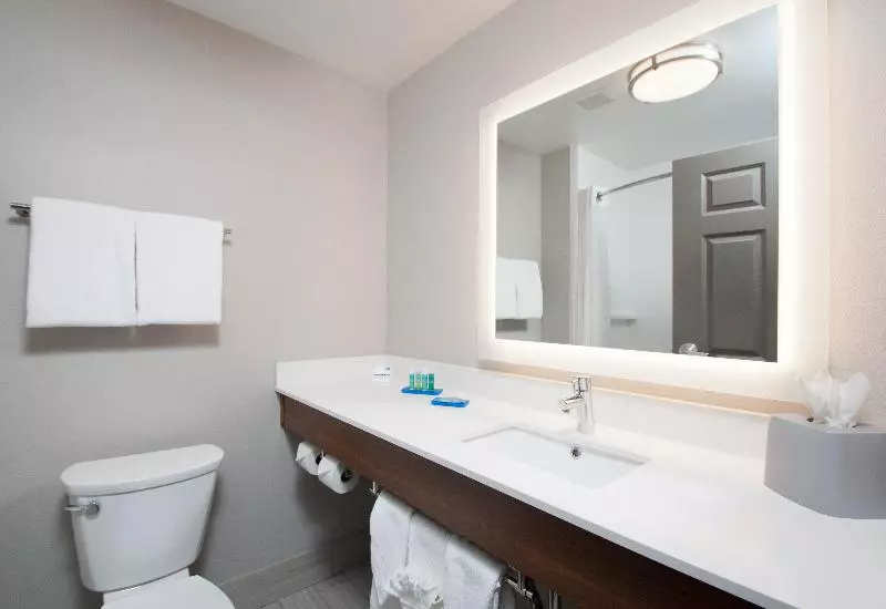 キングサイズベッドのスタンダードルーム, Holiday Inn Express Quantico   Stafford, An Ihg