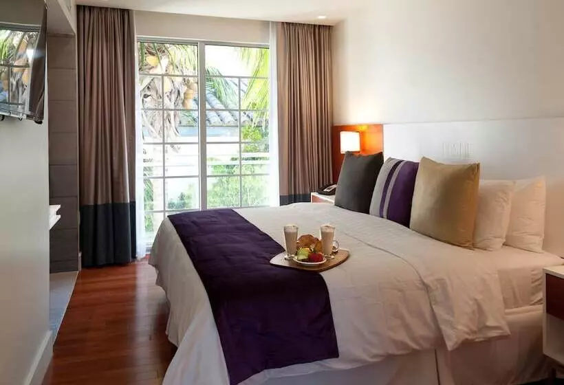 اتاق استاندارد با تخت بزرگ, Leslie Hotel Ocean Drive