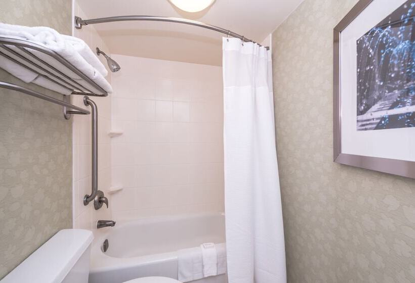 套房, Springhill Suites Boise West/eagle