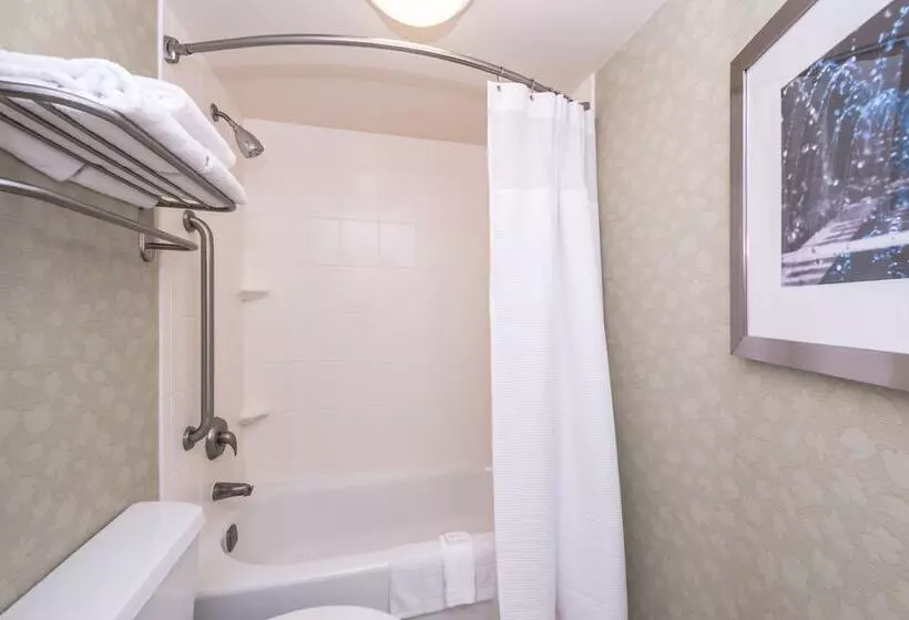 سوییت, Springhill Suites Boise West/eagle