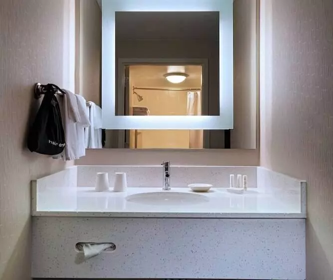 سوییت, Springhill Suites Boise West/eagle