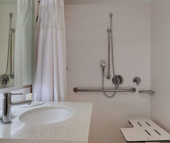 套房, Springhill Suites Boise West/eagle