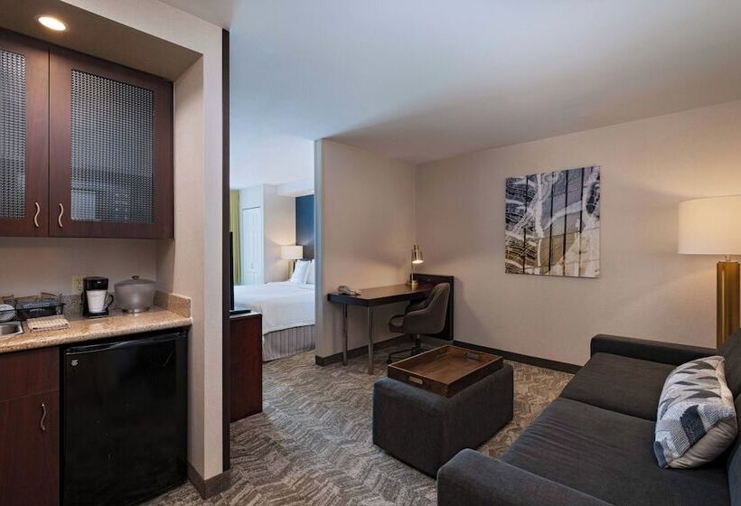 套房, Springhill Suites Boise West/eagle