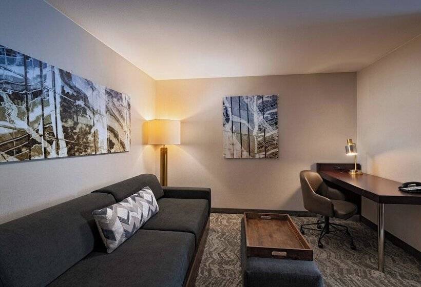 套房, Springhill Suites Boise West/eagle
