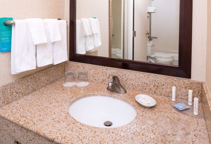 Люкс Адаптированный для Инвалидов, Springhill Suites Boise West/eagle