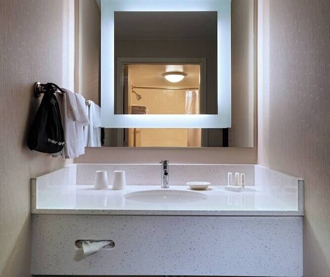 适合残疾人士使用的套间, Springhill Suites Boise West/eagle